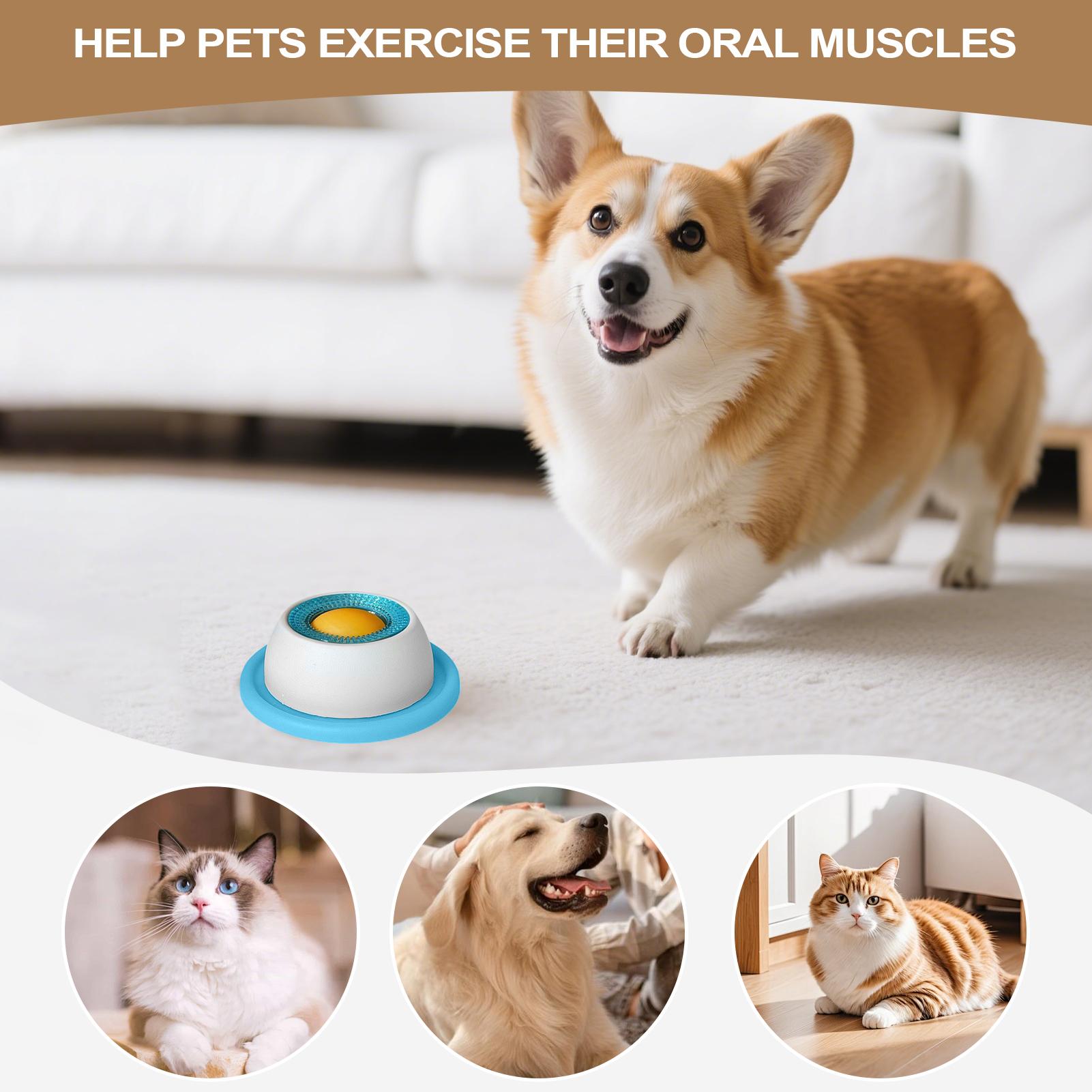 Hundespielzeug für Leckerlis,  – Dog Puzzle Feeder Toy Bewertung und Preis