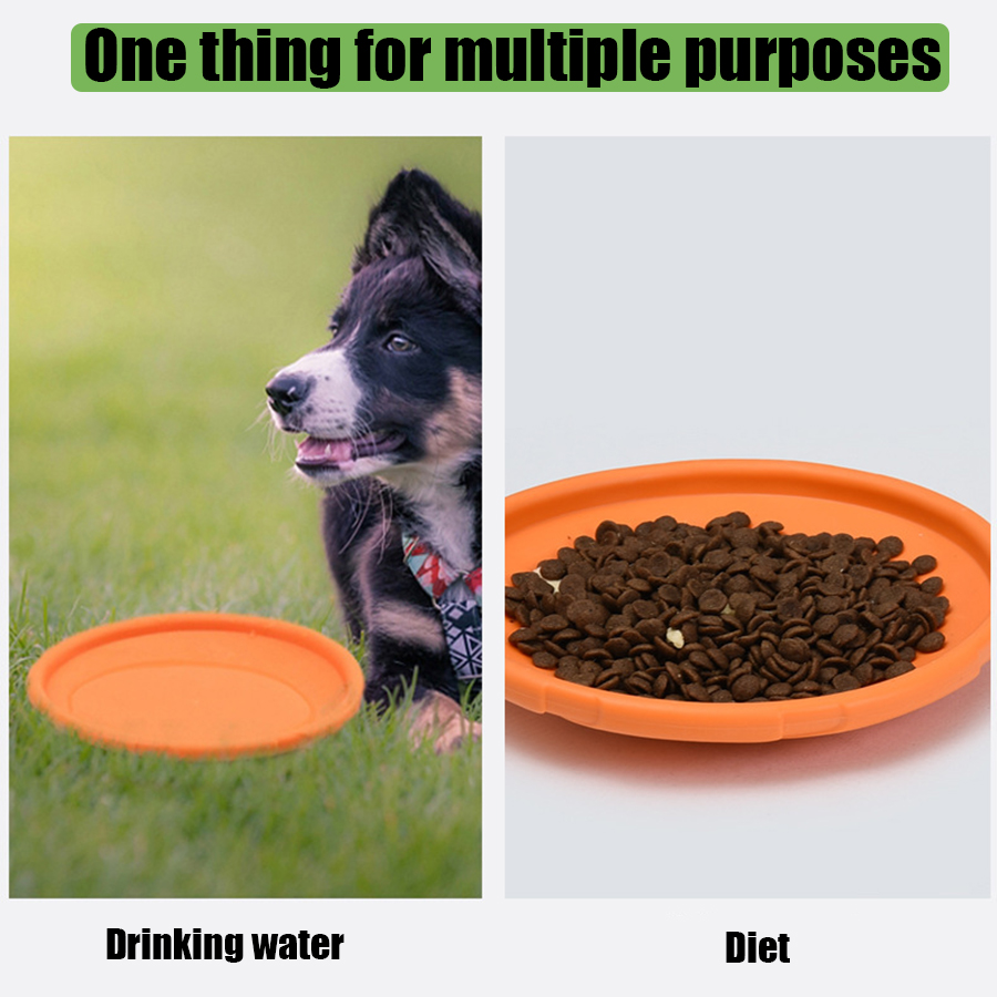 Großer Hundespielzeug-Frisbee  – Flying Disc Dog Training Toy Bewertung und Preis