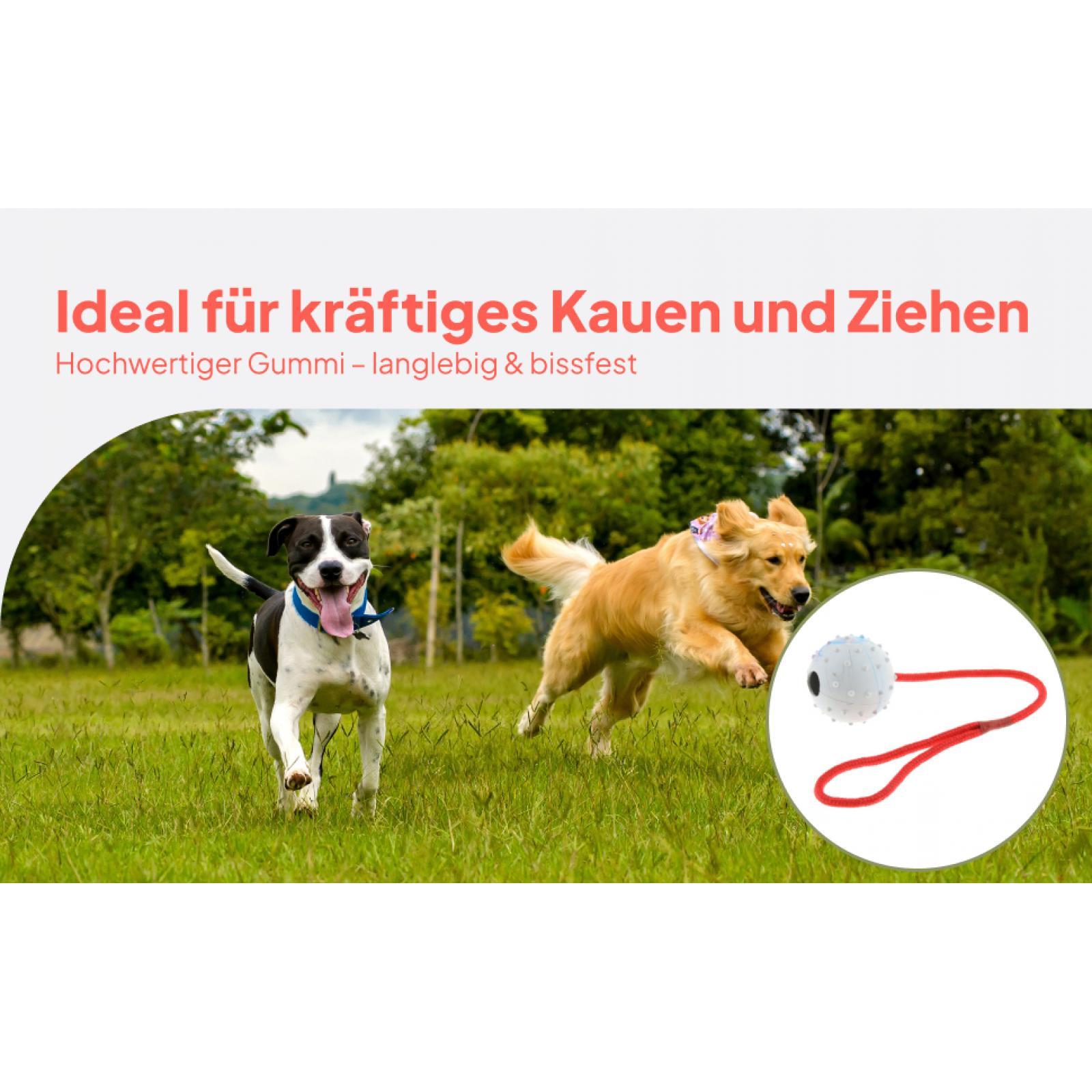 Haustier-Trainingsspielzeug We – Rubber Treat Dispensing Dog Toy Bewertung und Preis