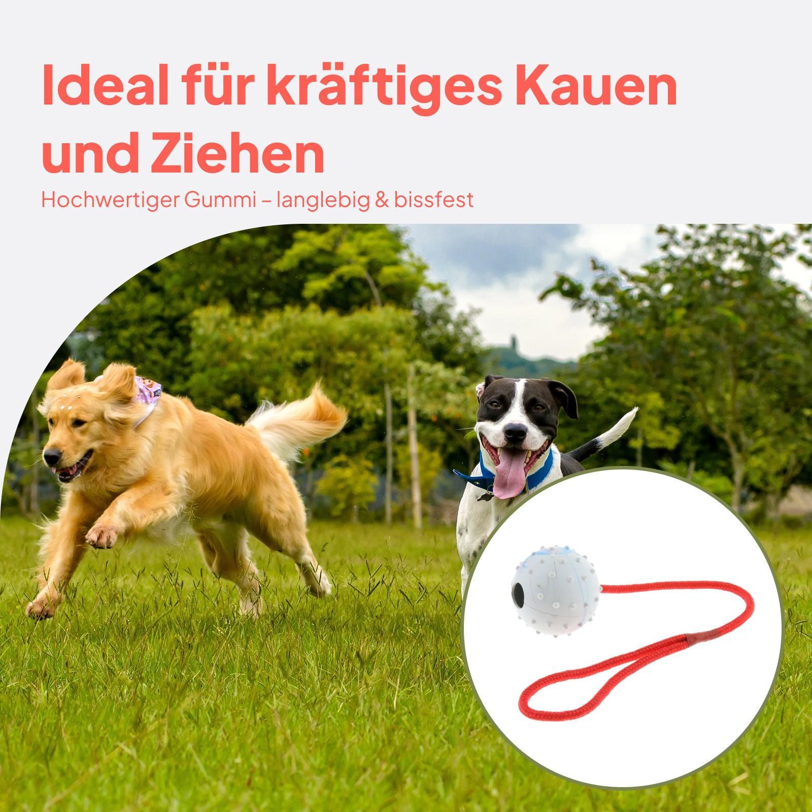 Haustier-Trainingsspielzeug We – Rubber Treat Dispensing Dog Toy Bewertung und Preis